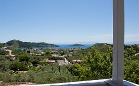 Camelia studios